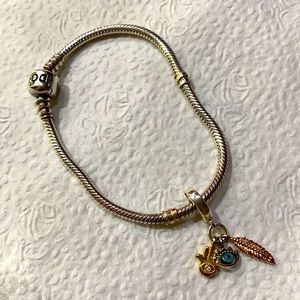 Pandora Bracelet with a charm!